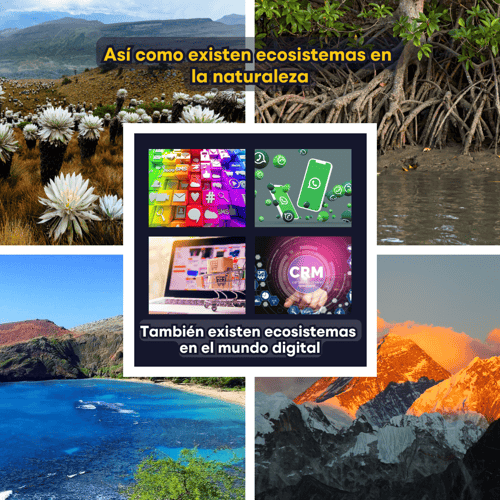 Ecosistemas digitales 1-1