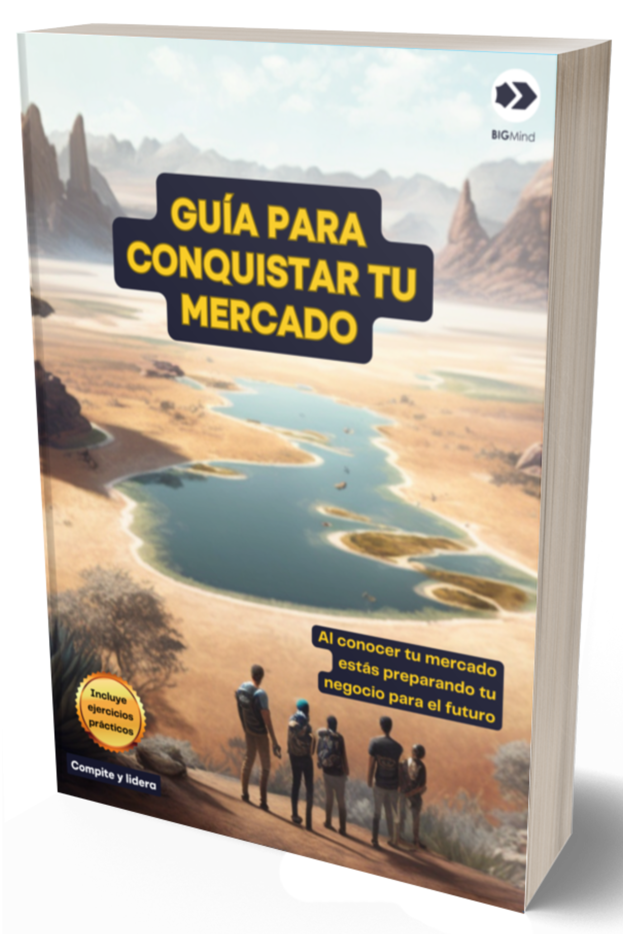 Guía para Conquistar tu Mercado