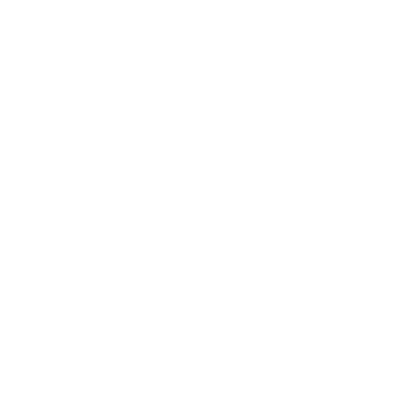 Big Mind 500x500 blanco 