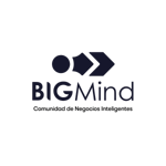 Big Mind Comunidad de Negocios Inteligentes